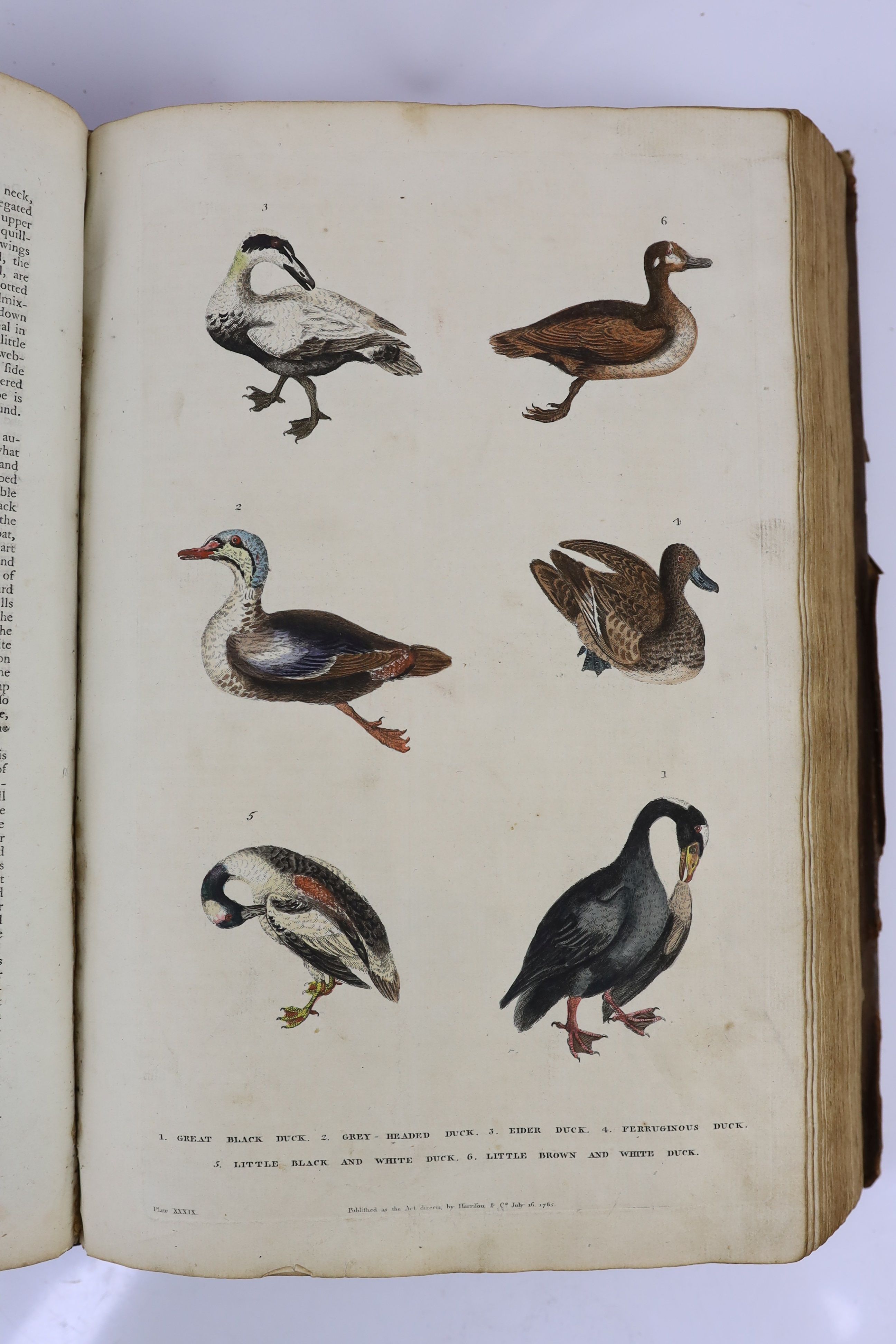 [Mavor, William Fordyce] - Martyn, William Frederick] - A New Dictionary of Natural History; or, Compleat Universal Display of Animated Nature, 2 vols. in one, folio, calf, with 100 (TO BE VERIFIED) hand-coloured engrave